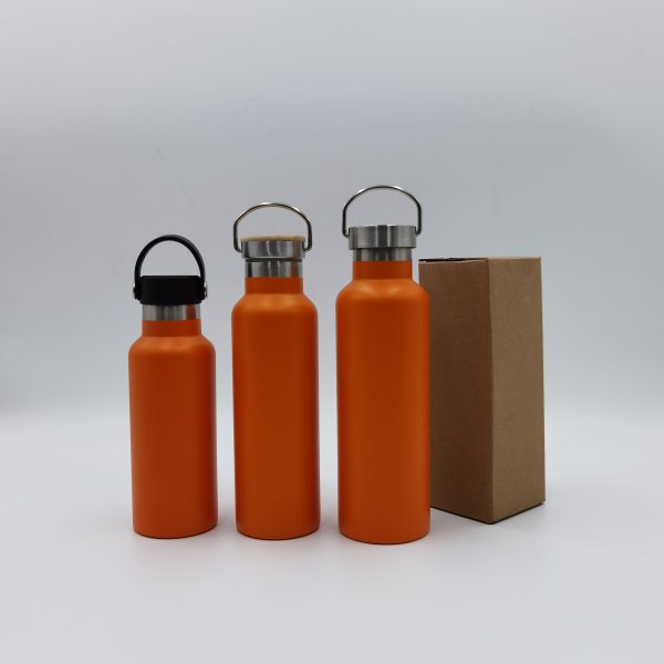 Logo Customization Power Coating Double Wall Stainless Steel Water Bottle